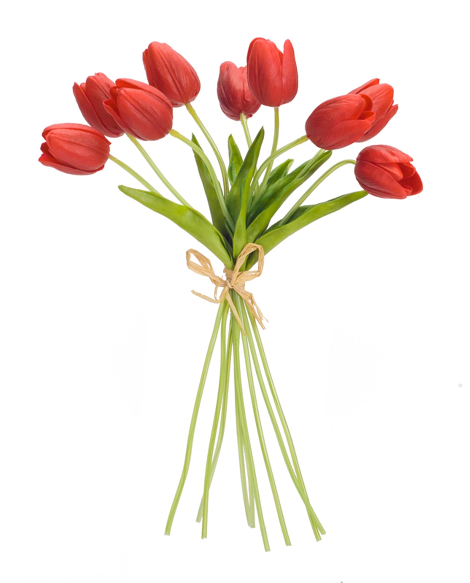 collection-banner-image