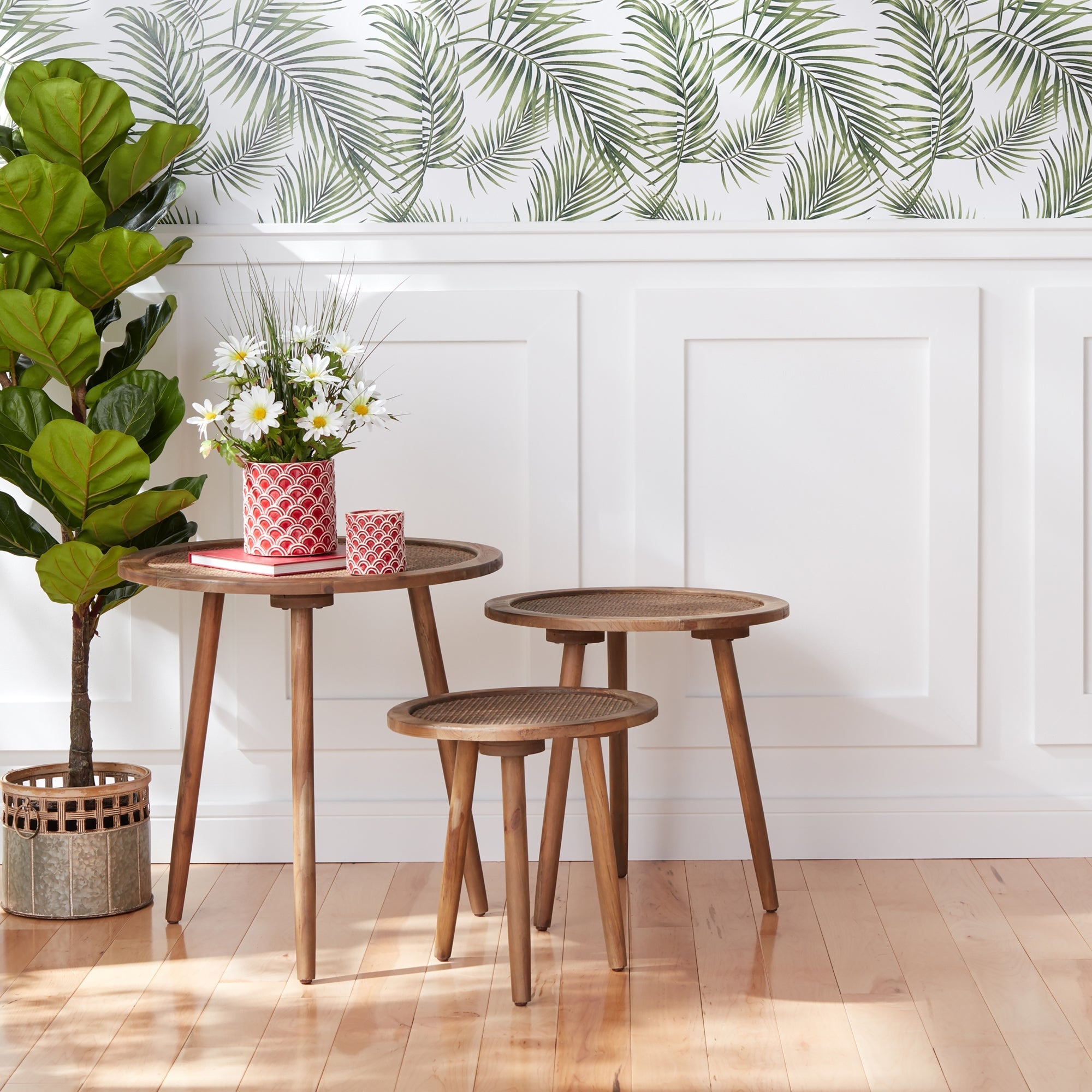 collection-banner-image